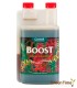 CANNA BOOST