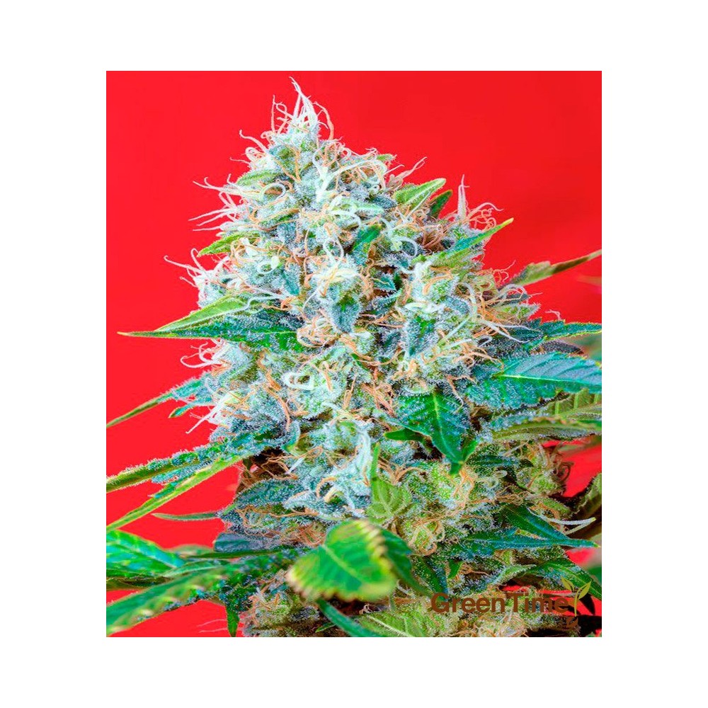 GREEN POISON
