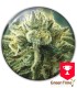 CANADIAN KUSH