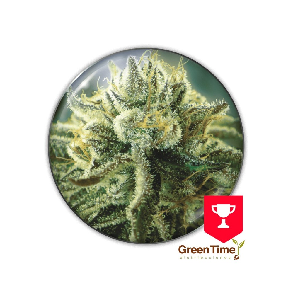 CANADIAN KUSH