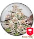 MENDOCINO PURPLE KUSH