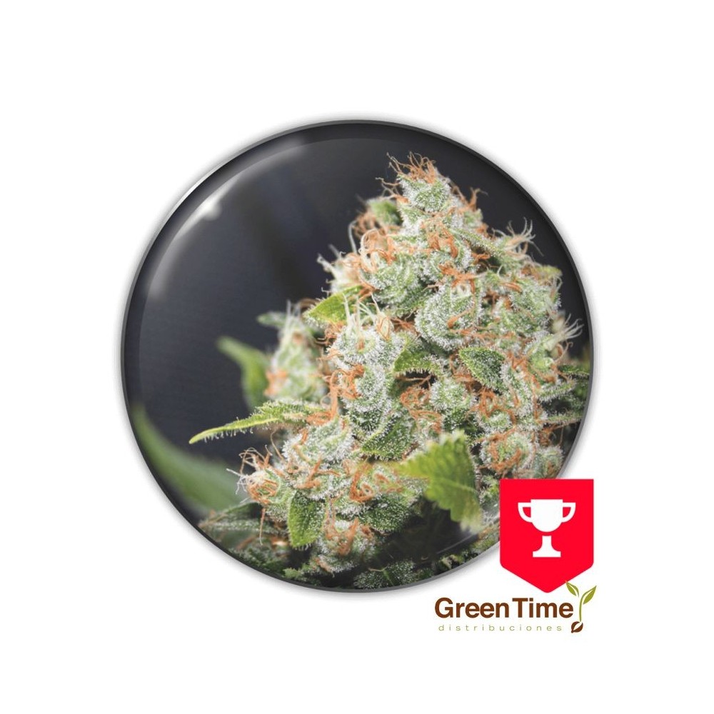 SOUR DIESEL BCN