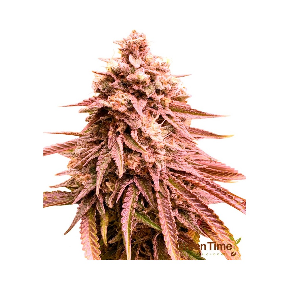 Banana Strawberry