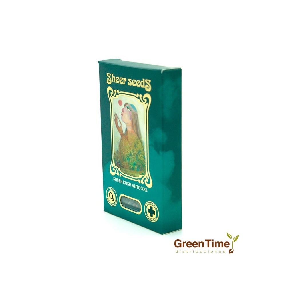 Sheer Kush Auto XXL