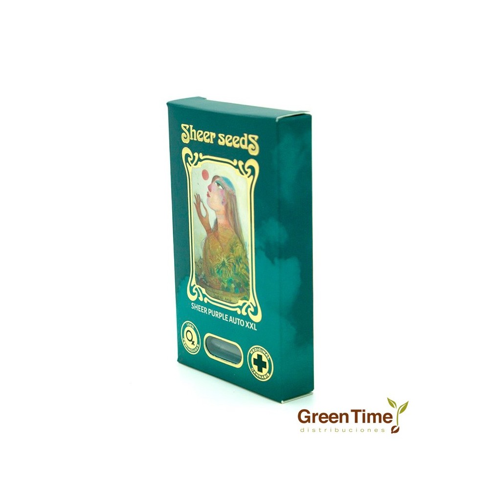 Sheer Purple Auto XXL