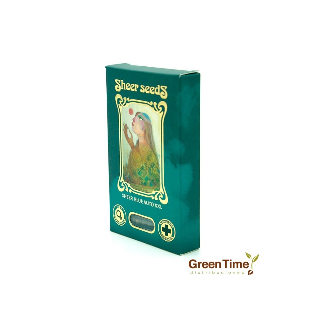 Sheer Blue Auto XXL