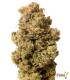 Kosher Kush 100% Feminizada