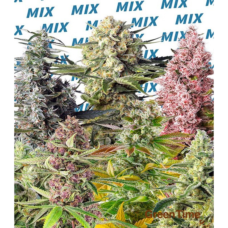 SWEET MIX FEMINIZADAS