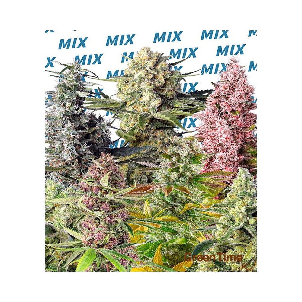 SWEET MIX FEMINIZADAS