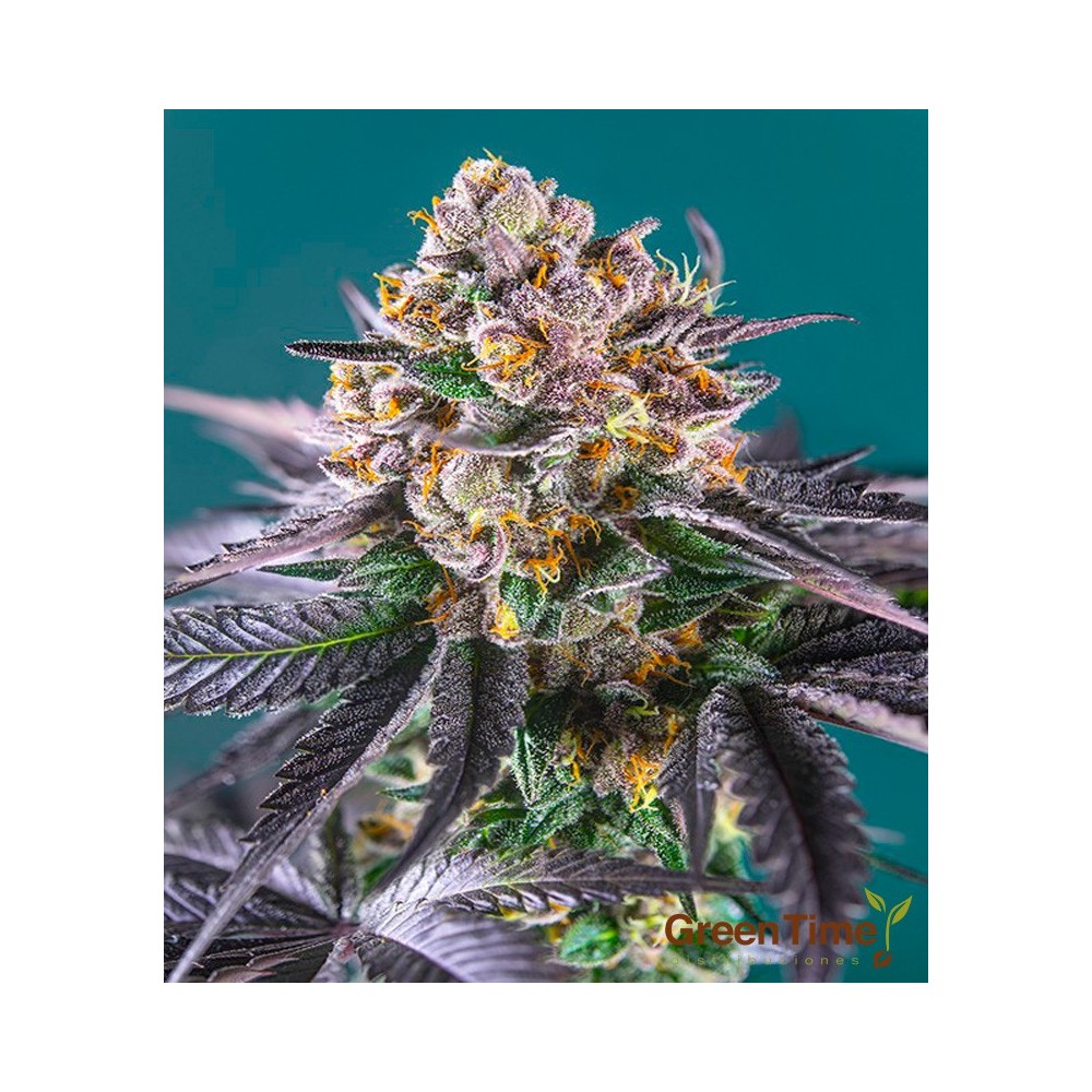 RED STRAWBERRY BANANA AUTO