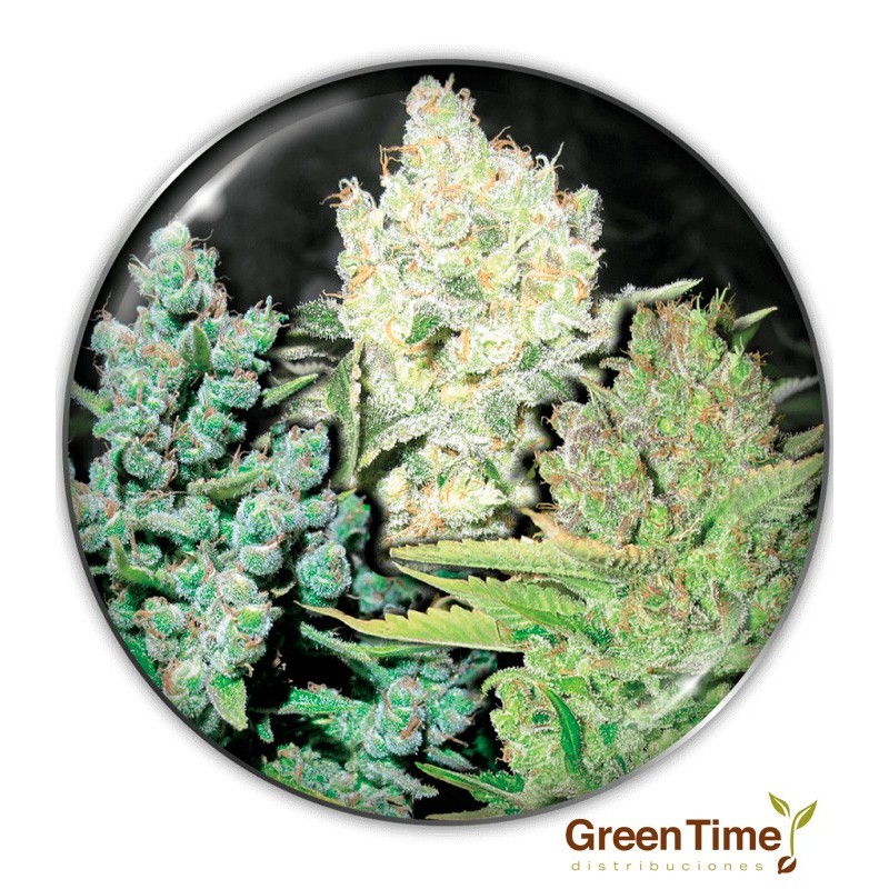 COLECCION 4 MEDICAL SEEDS