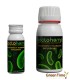 Bactohemp