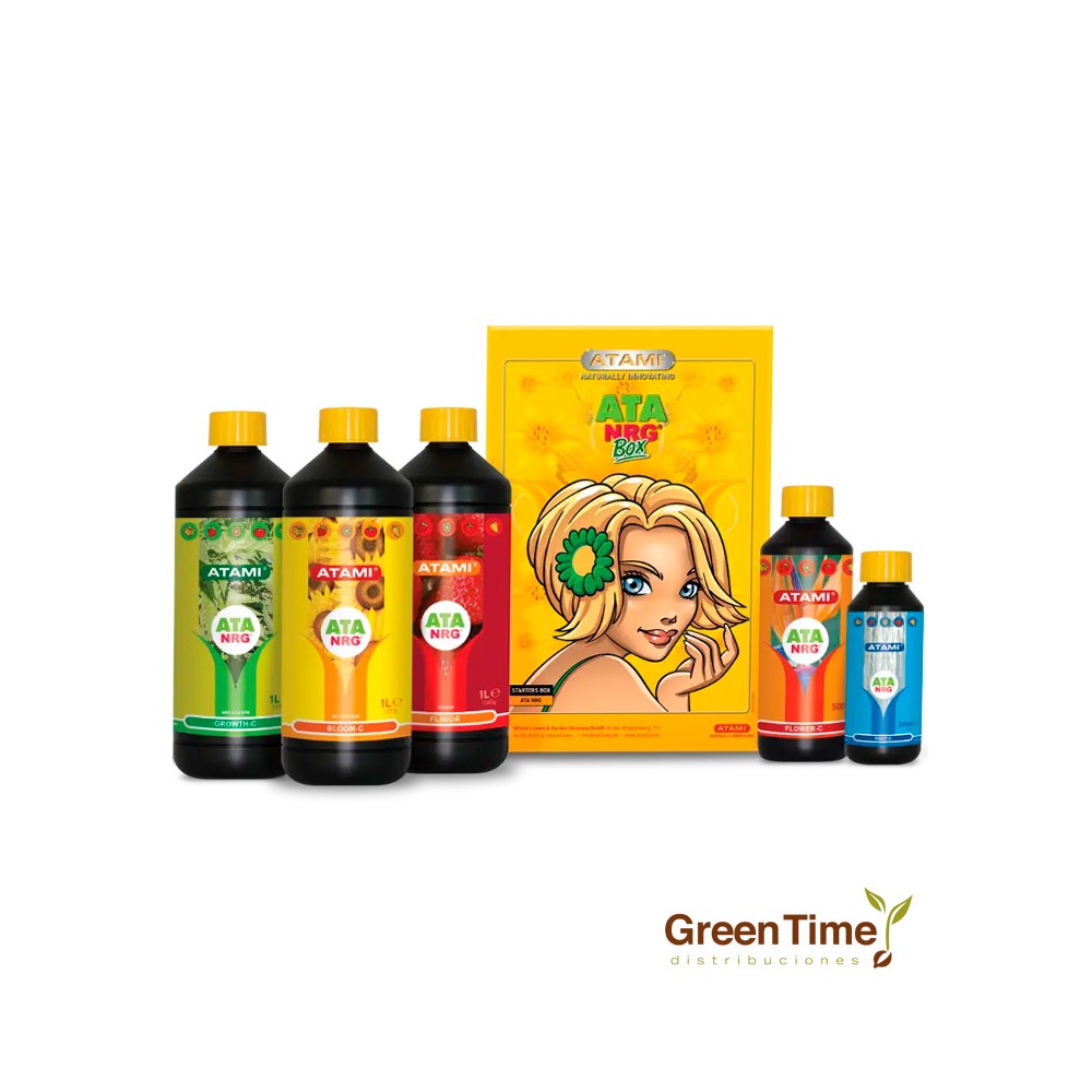 NRG ATA BOX de Atami | Green Time