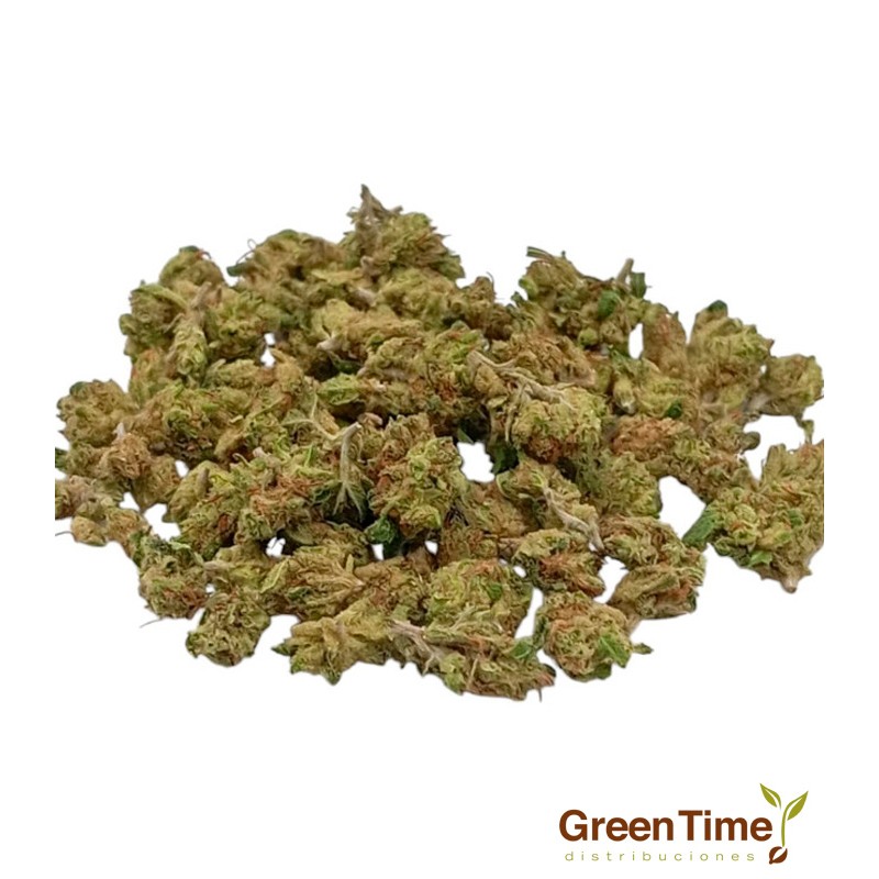 Small Buds CBD Greenhouse 10G Cbdsroll Small Buds CBD Greenhouse 10G Cbdsroll