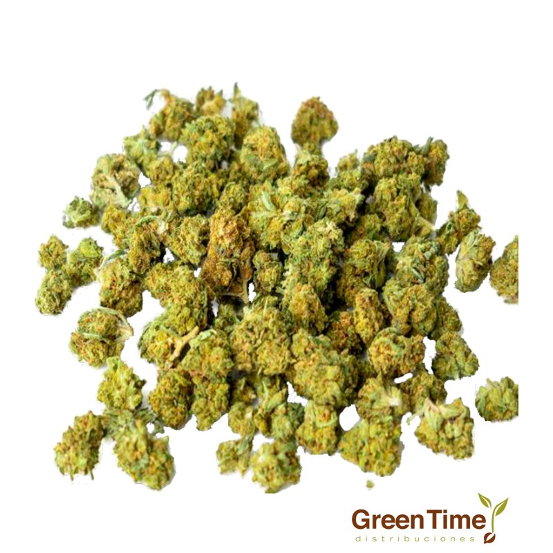 Small Buds CBD Indoor 10G Cbdsroll