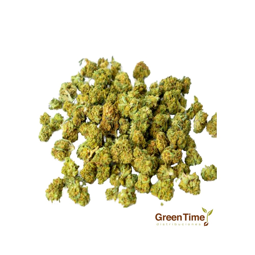 Small Buds CBD Indoor 10G Cbdsroll