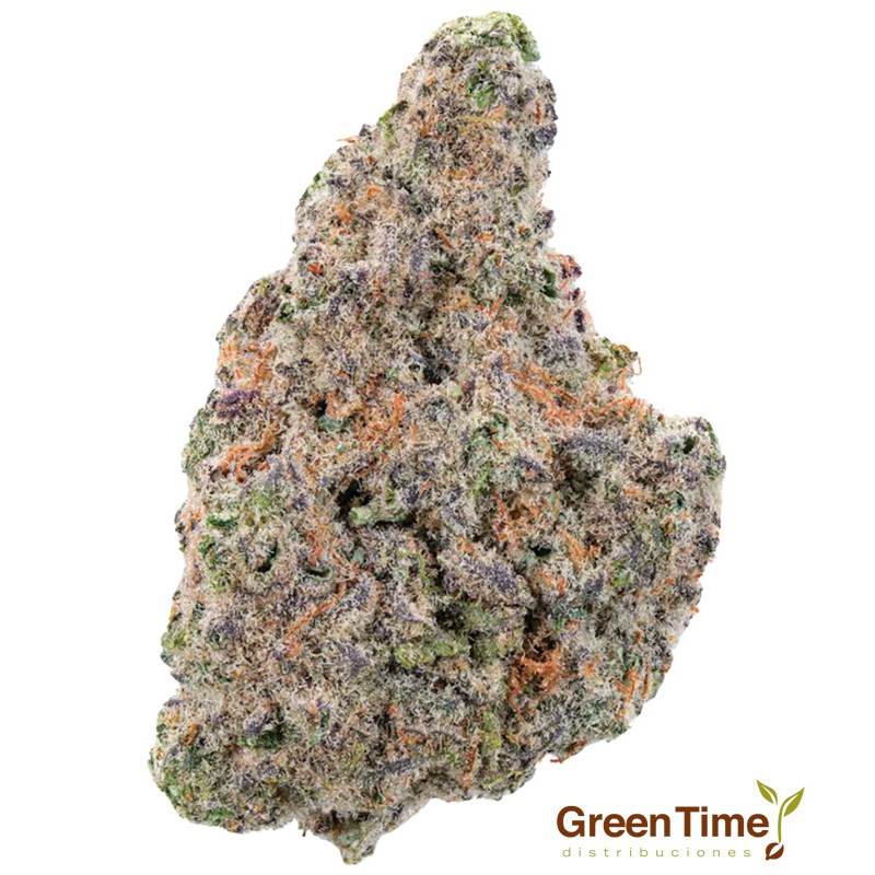 Flor White Rhyno Hidro CBD Flor White Rhyno Hidro CBD