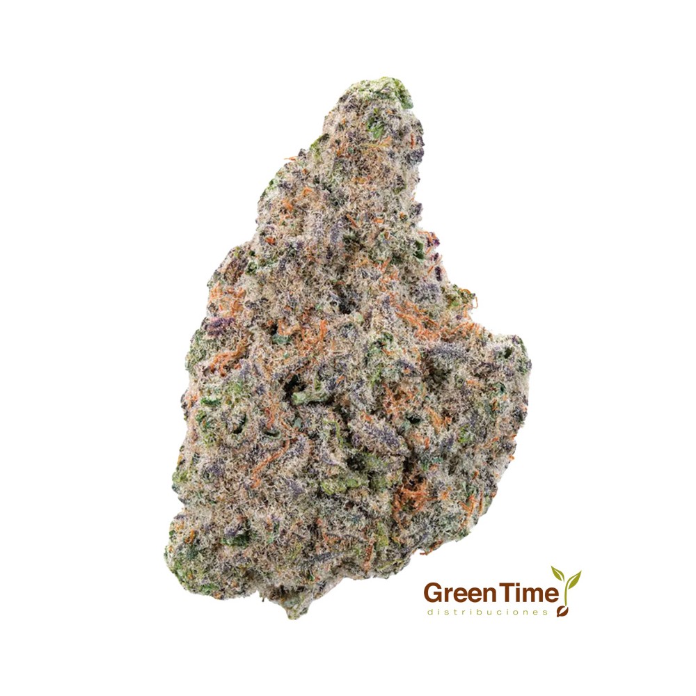 Flor White Rhyno Hidro CBD