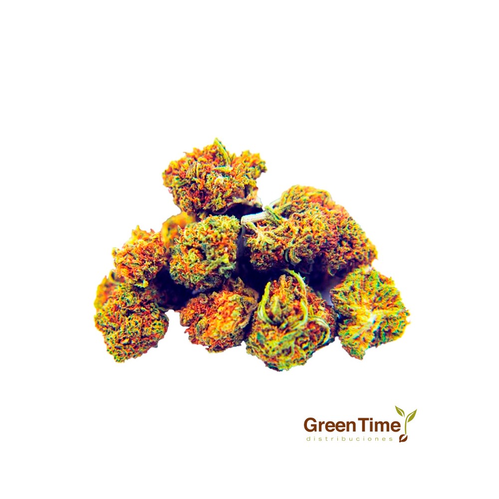 Small Buds Matanuska CBD Green House