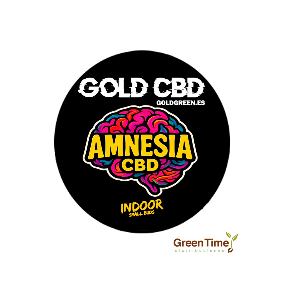 Small Buds Amnesia CBD Indoor | Green Time